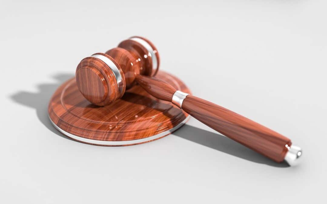 Court Hearings Explained: What to Expect and How to Prepare as a Witness